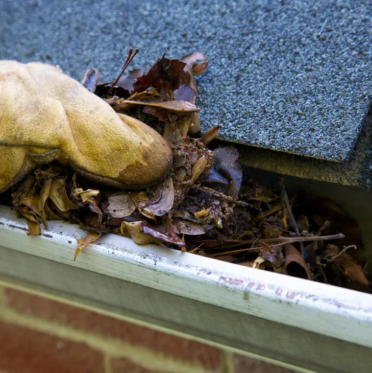 Complete Gutter Solutions Gutter Installation & Repair