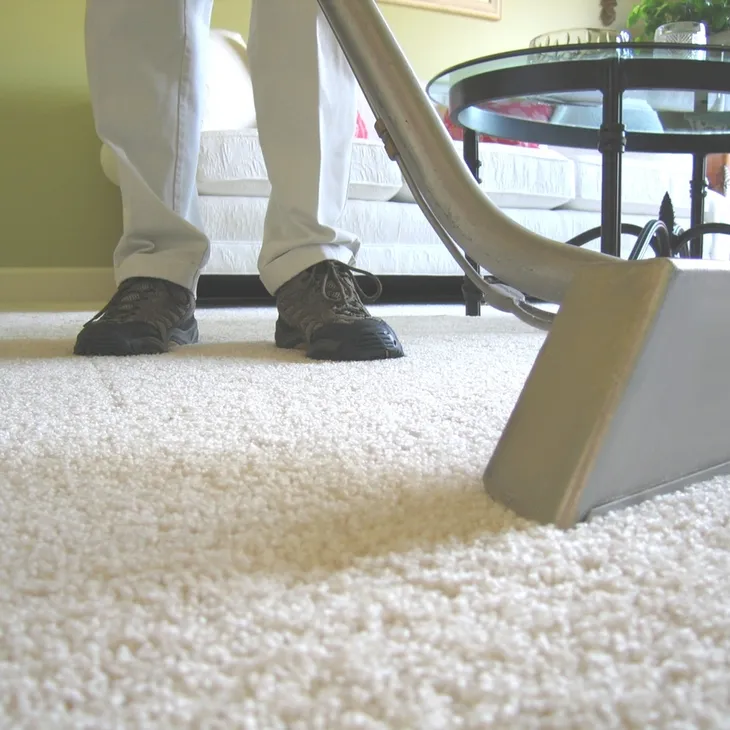 Carpet Cleaning Professional Carpet & Upholstery Cleaning